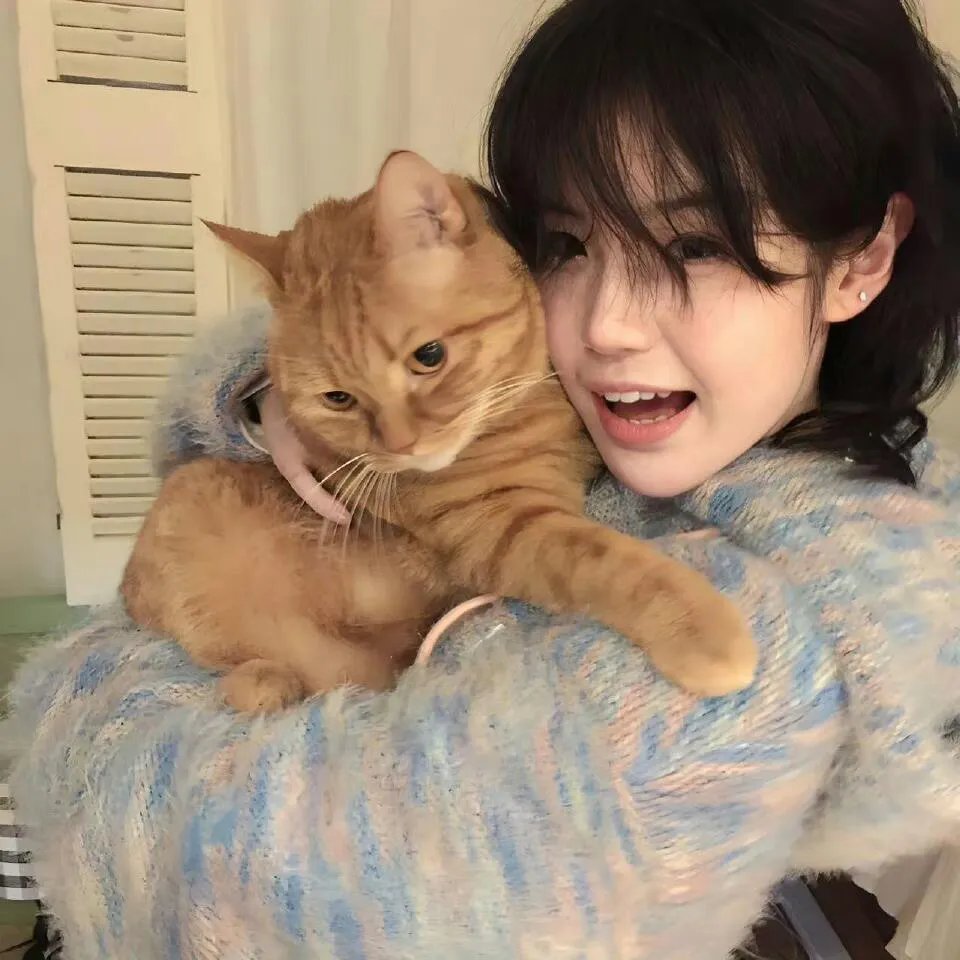 猛虎嗅蔷薇之替天行盗
